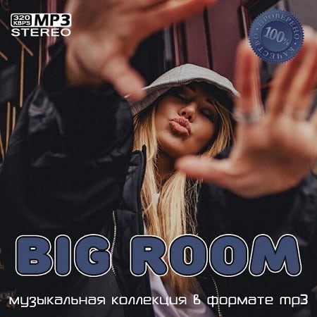 Big Room (2022) MP3